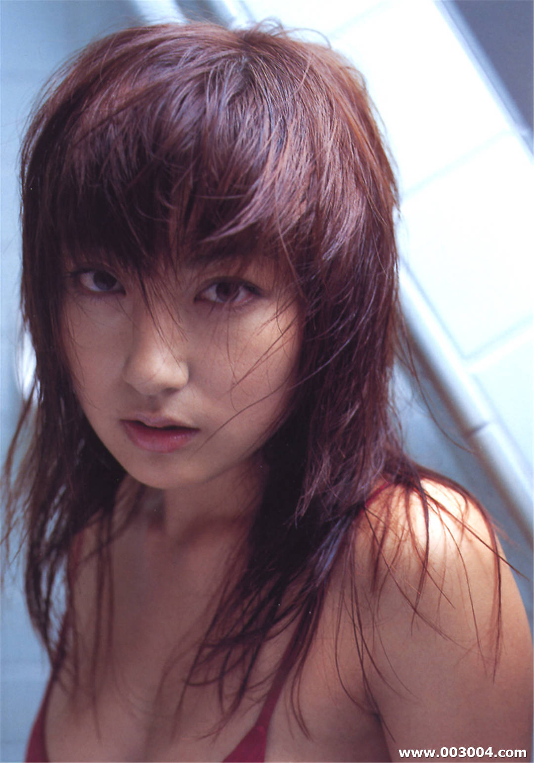 熊田曜子写真集《 mimosa 》高清全本