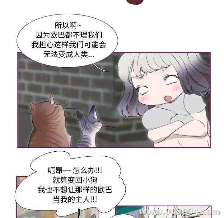 我的猫狗女友