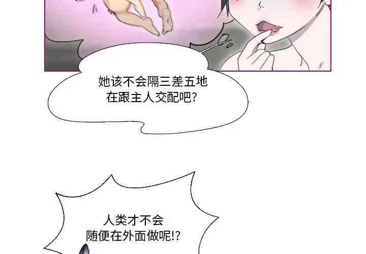我的猫狗女友