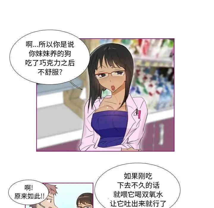 我的猫狗女友