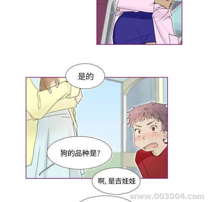 我的猫狗女友