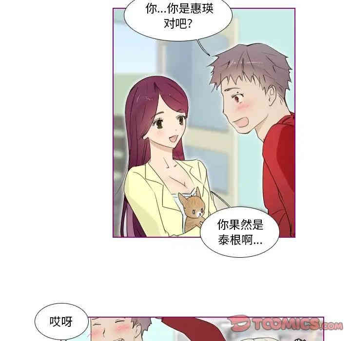 我的猫狗女友
