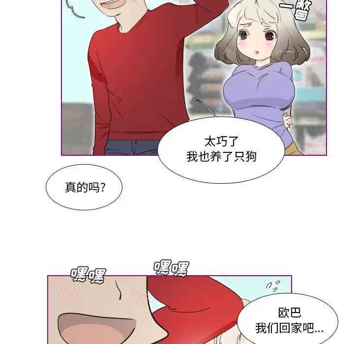 我的猫狗女友