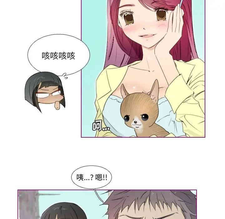 我的猫狗女友
