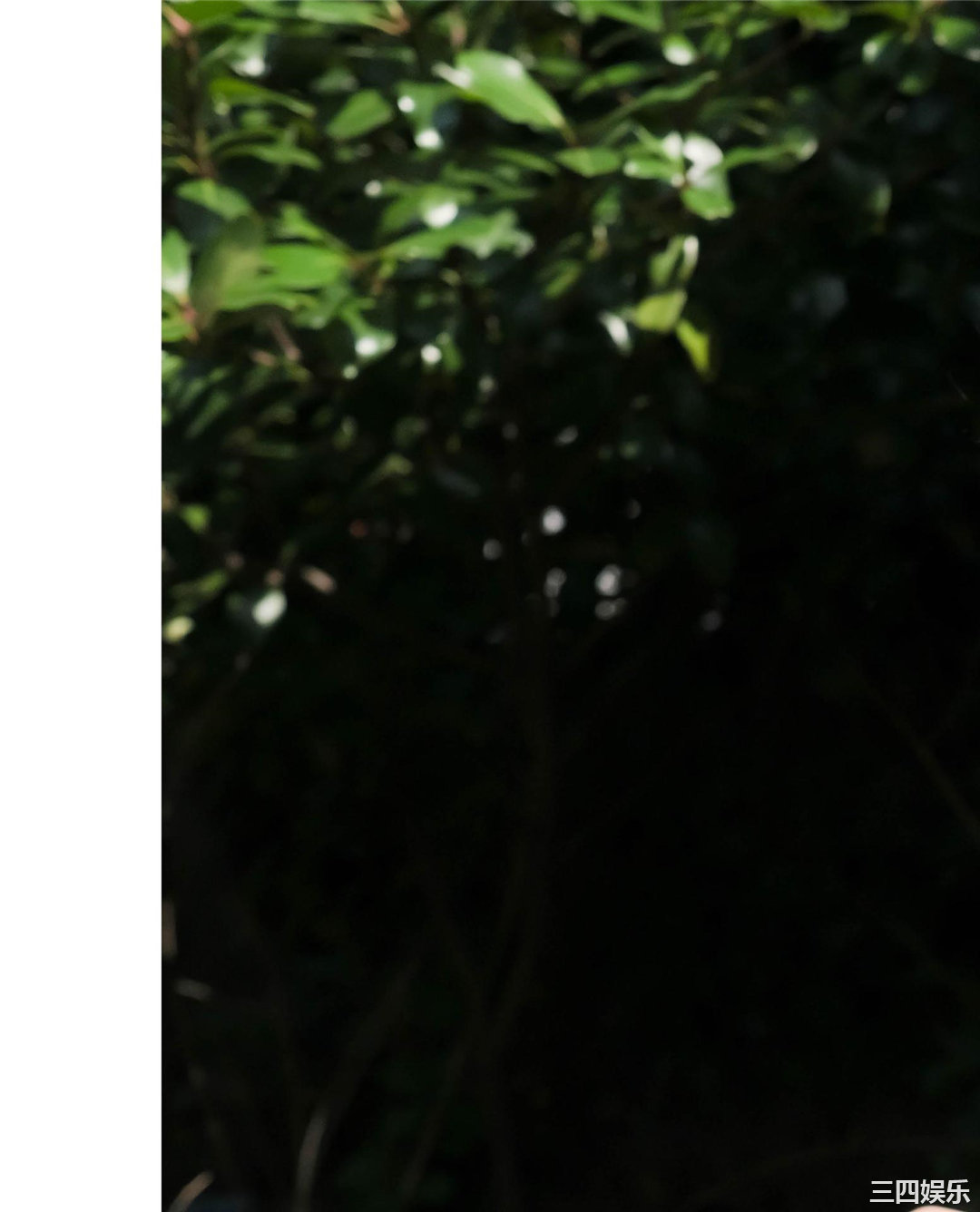 和田あずさ写真集《透明な青色》高清全本