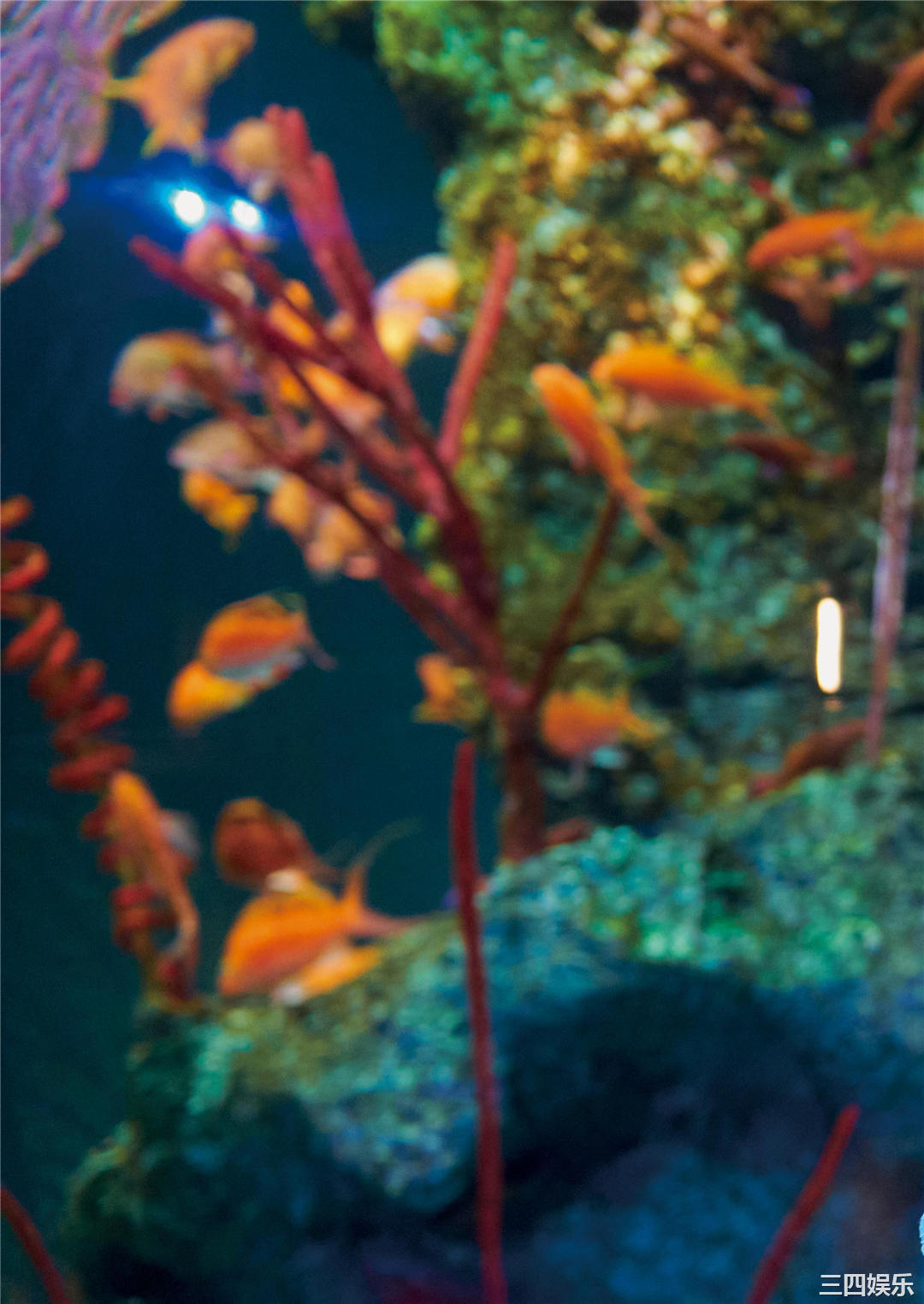 长江里加1ST写真集《Re color》高清全本