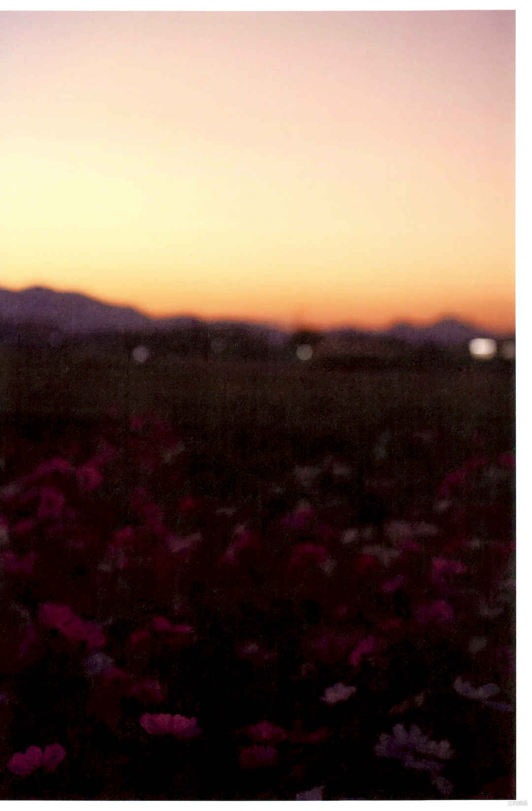 宫田爱萌1ST小说写真书《きらきらし》高清全本