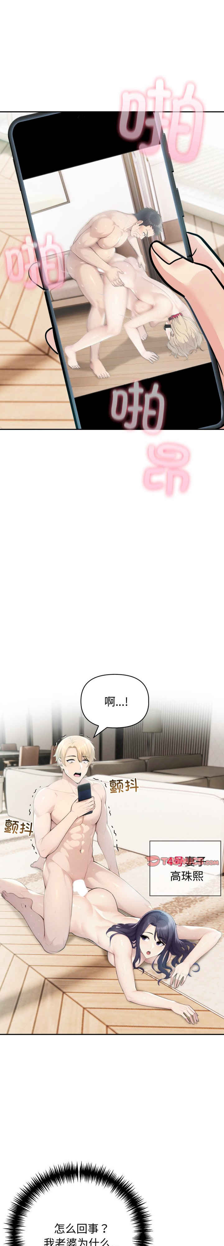 夫妇游戏/夫妇挑战赛