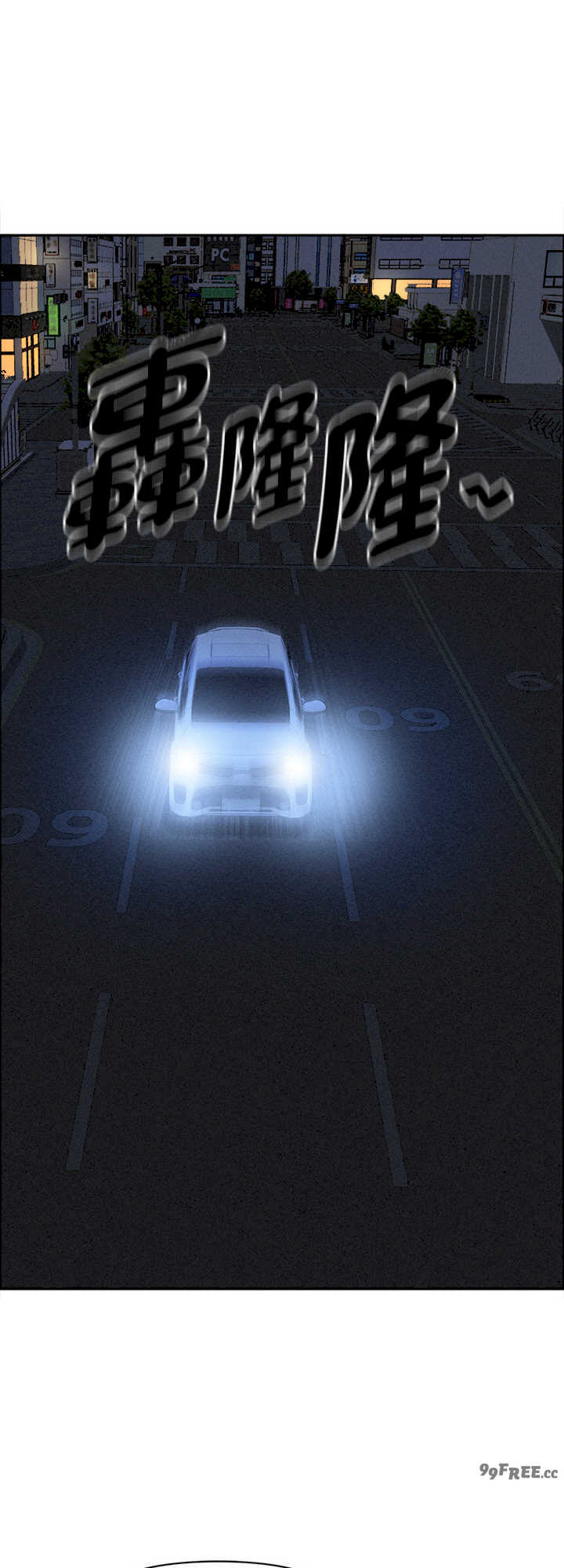 贵妇的专属保镖