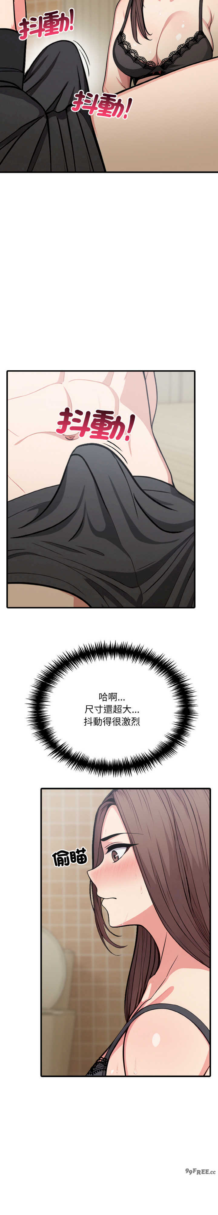 与陌生人的真人秀