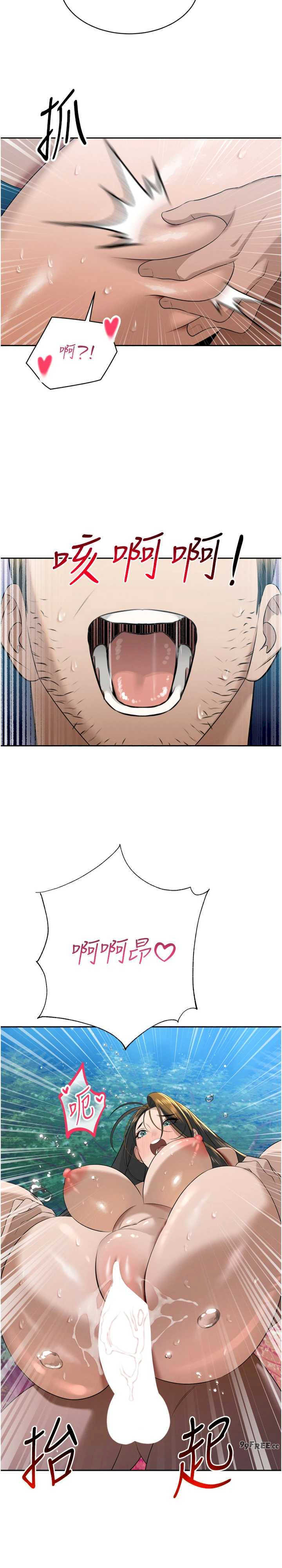 暴君会长的娇媳们