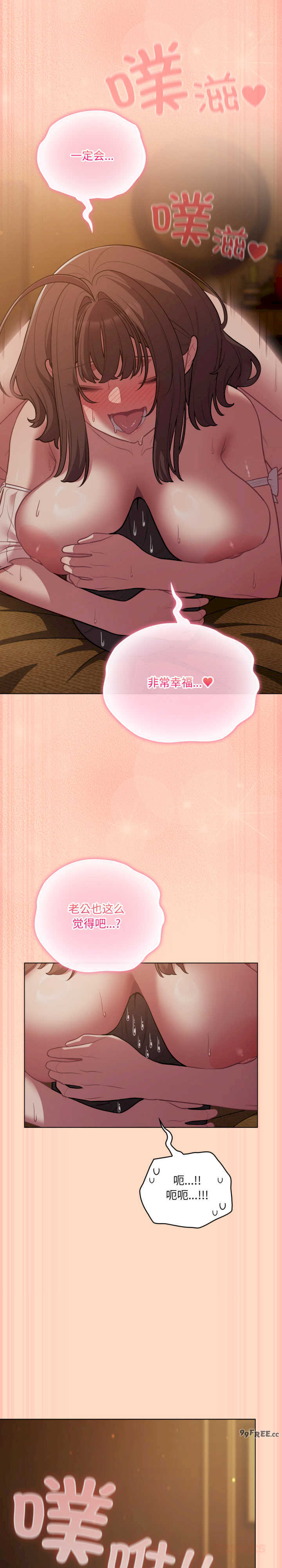 猫猫牵红线/喵来的恋爱