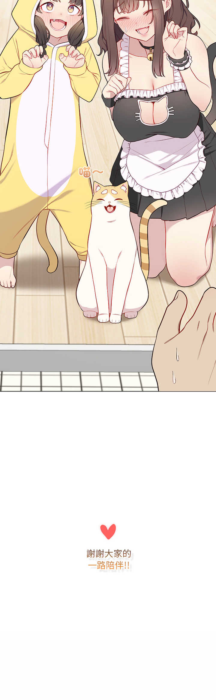 猫猫牵红线/喵来的恋爱