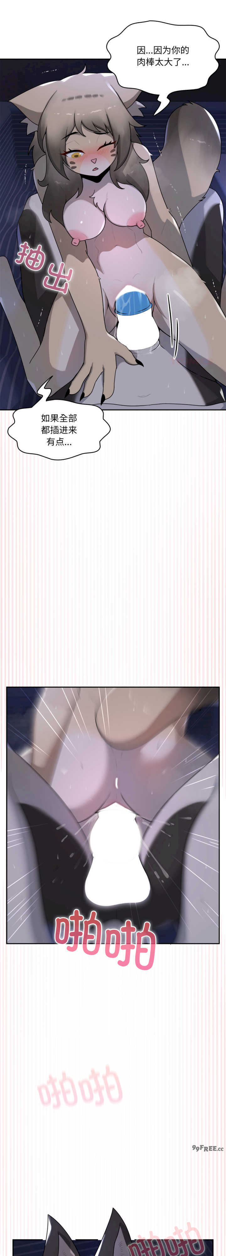 野兽的乐章/野兽的王国