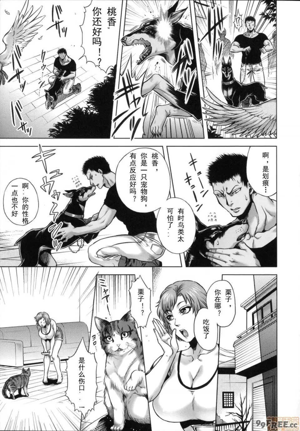 [叙火] ヒトモエ委員会 [中国翻訳] [DL版]