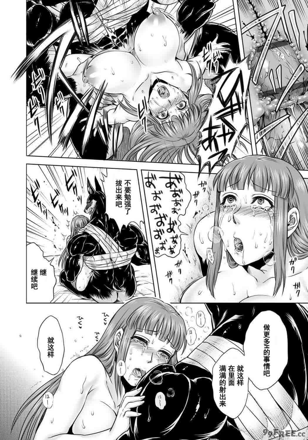 [叙火] ヒトモエ委員会 [中国翻訳] [DL版]