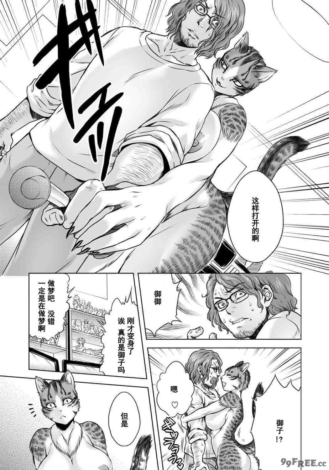 [叙火] ヒトモエ委員会 [中国翻訳] [DL版]