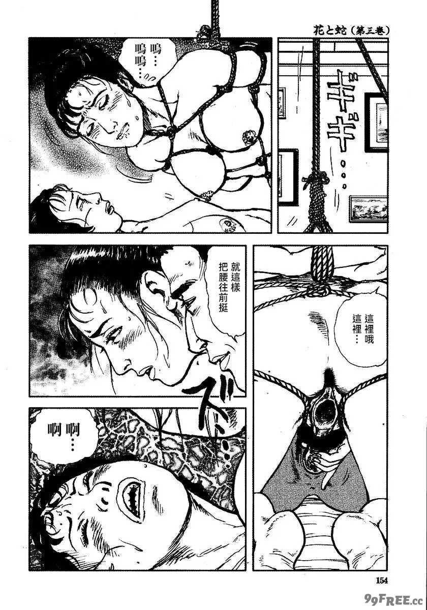 [長田要x団鬼六]花と蛇 第三集