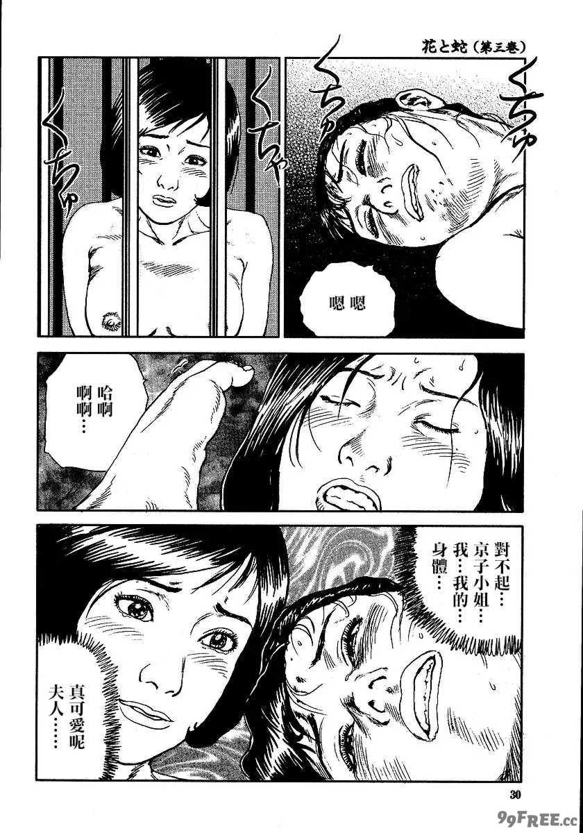 [長田要x団鬼六]花と蛇 第三集