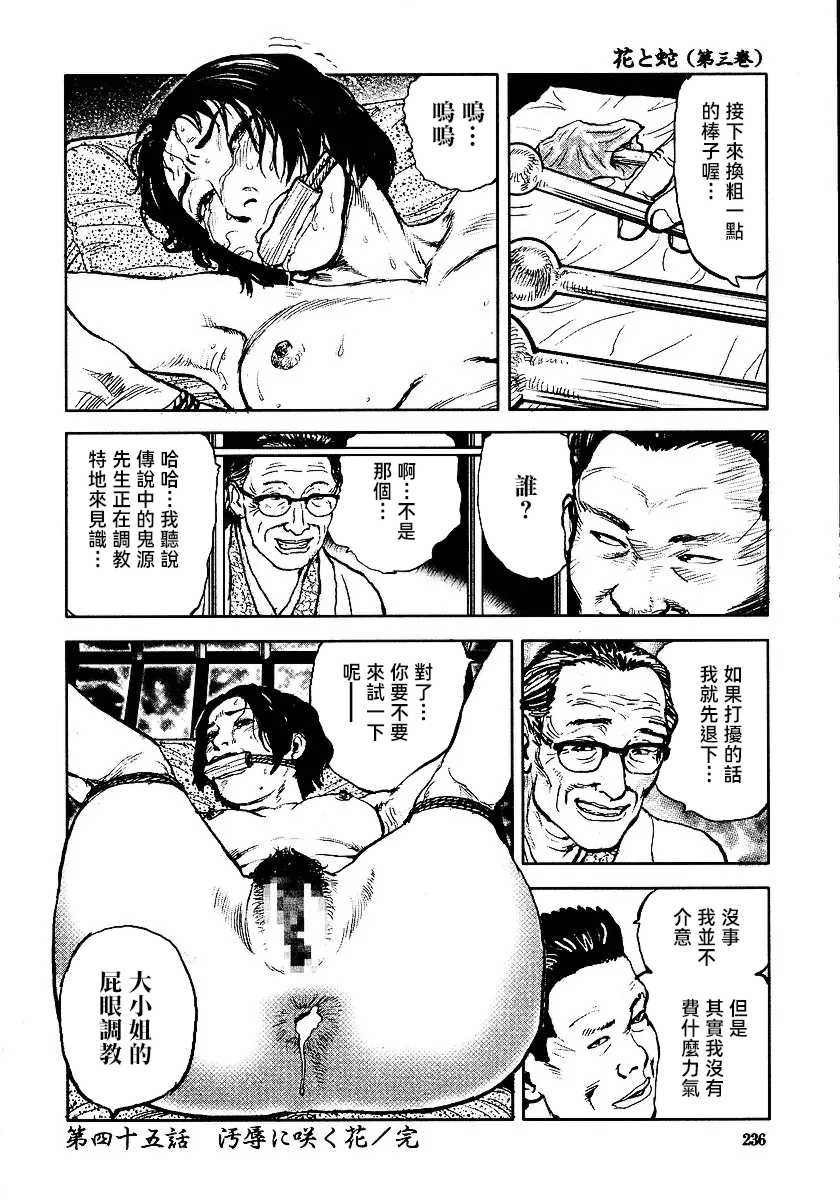 [長田要x団鬼六]花と蛇 第三集