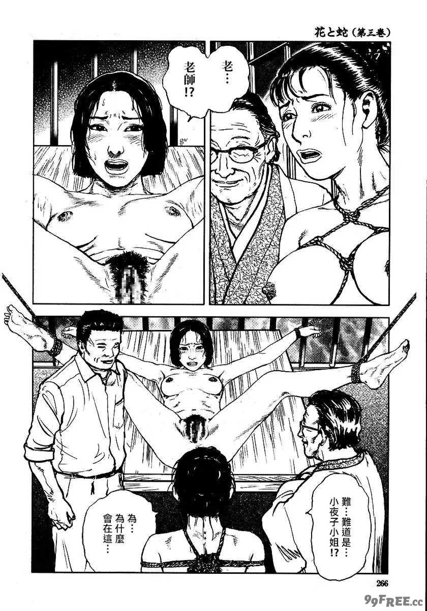 [長田要x団鬼六]花と蛇 第三集